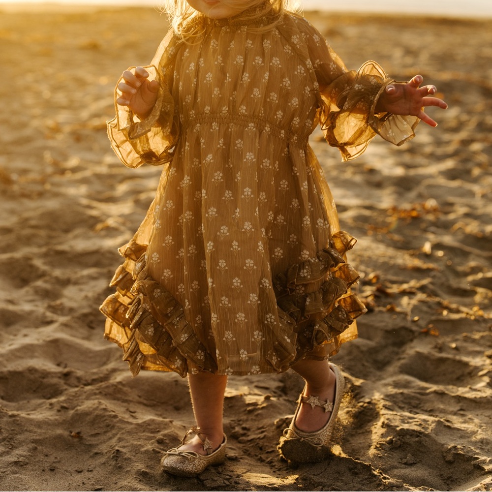 NORALEE Mirabelle Dress in Daisy Print Size 2